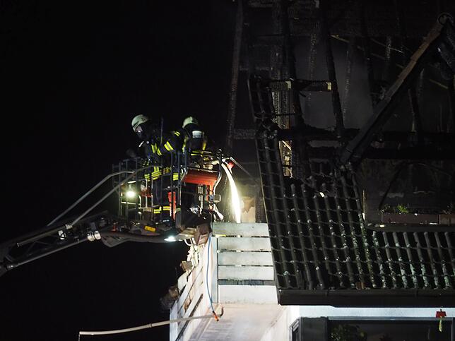 Die Feuerwehr im Einsatz auf der Reichenau.