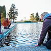 Schwimmmeisterin Rita Assire (vorne) inspiziert zusammen mit Bürgermeister Holger Mayer und Martin Gänsler das Schwimmbecken im Freibad ...