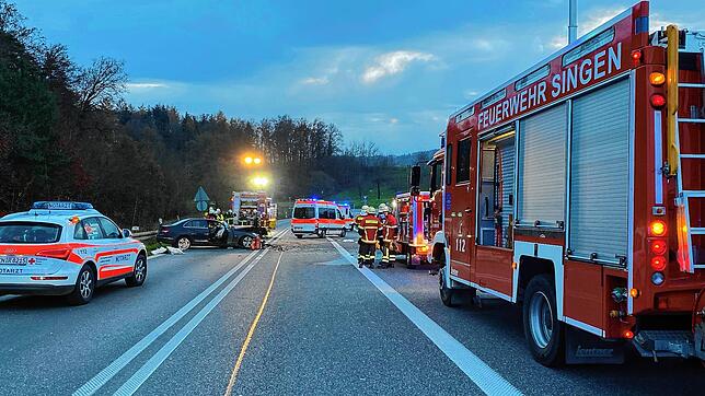 Bei einem schweren Verkehrsunfall kurz nach der Auffahrt auf die A 81 ist am Sonntag, 27. November, ein sechsjähriges Mädchen ...