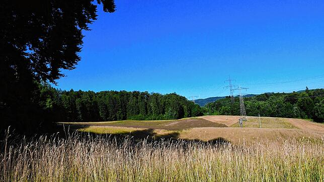 Das Gewann Schlappboden, wo der Solarpark entstehen soll. Foto: Heinz Vollmar