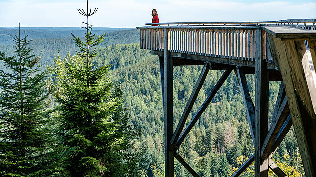 Was für ein Ausblick: Hauptkommissarin Maris Bächle (Jessica Schwarz) steht auf einer Plattform im Schwarzwald.