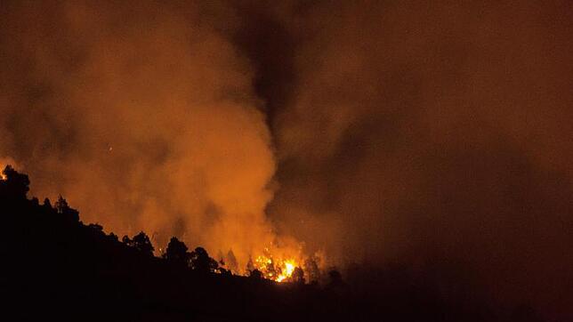 Waldbrand auf La Palma: Feuerwehrleute kämpfen gegen die Flammen