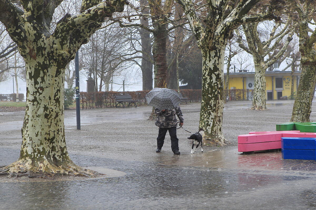 Was Kann Man In Köln Unternehmen Wenn Es Regnet Schlechtes Wetter? Hier sind 10 Tipps, was Sie mit ihren Kindern in