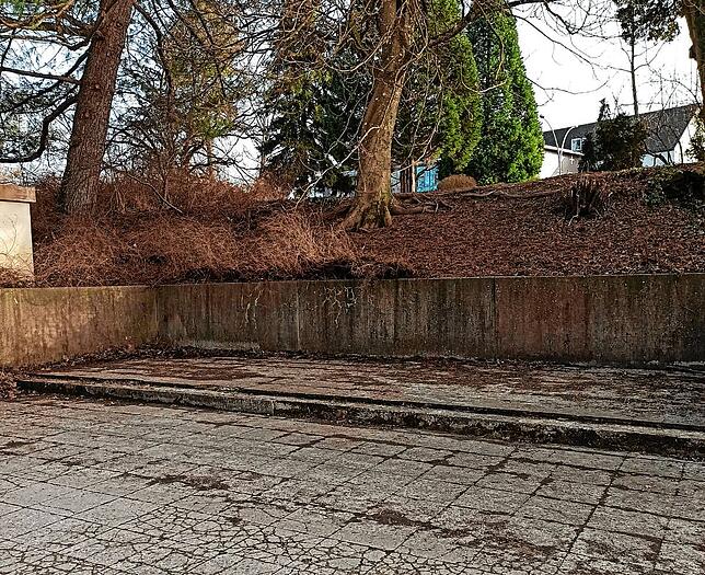 Im Stadtpark bietet sich diese Fläche als Treffpunkt an.