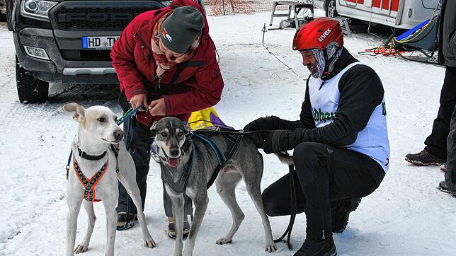 Bild : Bilder vom Wintererlebniswochenende in Todtmoos