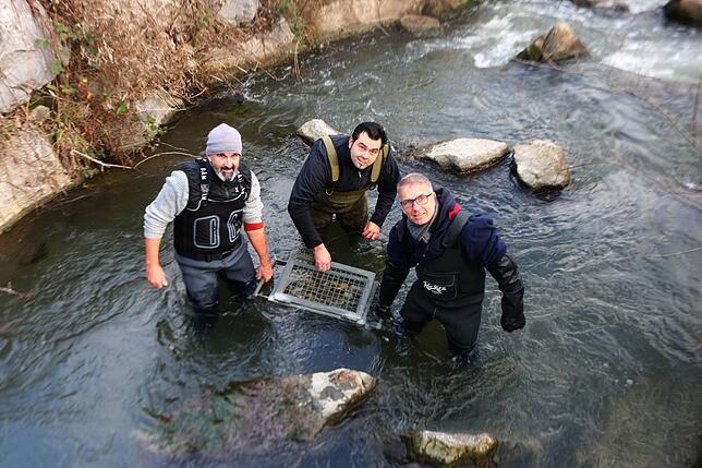 Martin Hund, Johannes Greiser und Michael Hügel (von links) mit dem Metallkorb, in dem sich 5000&nbsp;befruchtete Bachforelleneier befinden.