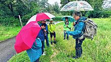 Auch der Regen lässt faszinierende und außergewöhnliche Motive entstehen. Die können dei Teilnehmer mit ihrer Kamera festhalten. Foto: ...
