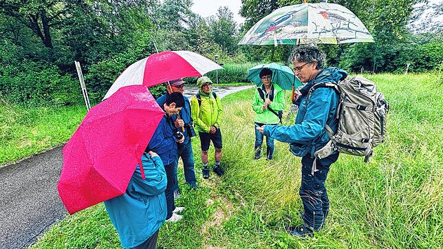 Auch der Regen lässt faszinierende und außergewöhnliche Motive entstehen. Die können dei Teilnehmer mit ihrer Kamera festhalten. Foto: ...