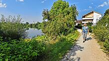 Der Kofenweiher ist ein idylischer Badesee inmitten der Stadt (Archivbild). Doch die Idylle täuscht derzeit für Hundebesitzer und ihre ...