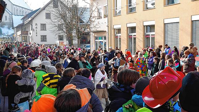 Bild : Bilderstory: Umzug und Narrenbaumstellen in Rickenbach begeistern die Zuschauer