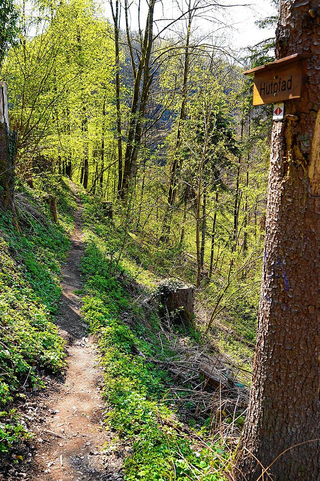 Der Hutpfad führt oberhalb der Schlücht über Stock und Stein, durch Wälder und über Bäche. Gutes Schuhwerk ist hier ein Muss.