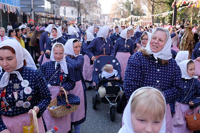 Bild 1: Bilder vom großen Narrenbaum-Umzug aller Singener Zünfte (Teil 2)