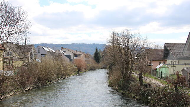 Ruhig fließt die Aach zwischen den dicht angesiedelten Häusern von Rielasingen. Bei Hochwasser kann sich dies aber dramatisch ändern. ...