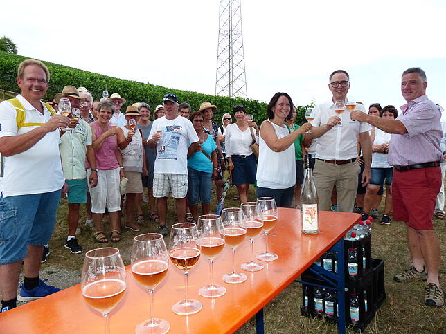 Bei der Weinwanderung vor dem Torkelfest gab es Erklärungen zu Geschichte und Anbau und natürlich Wein- und Secco-Proben, die ...