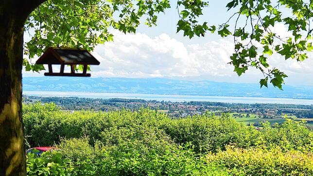 Im Schatten einer alten Kastanie können Gäste des Biergartens vom Wirtshaus am Gehrenberg die Aussicht auf Markdorf, Bodensee und ...