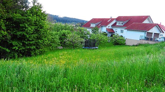 Hier auf der grünen Wiese im Überauchener Wohngebiet Belli soll die Flüchtlingsunterkunft entstehen. Bild: Klaus Dorer