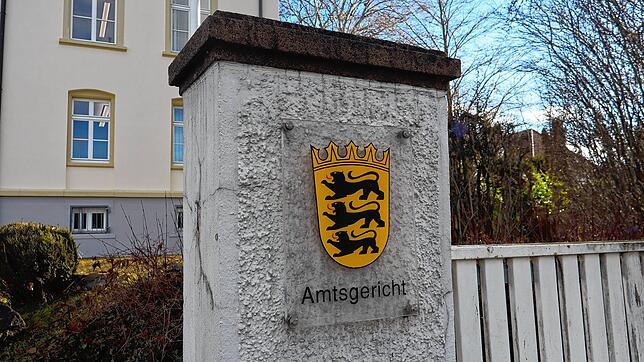Ein 27-Jähriger attackierte mehrere Polizeibeamte bei einer Zollkontrolle. Jetzt wurde er im Singener Amtsgericht verurteilt.