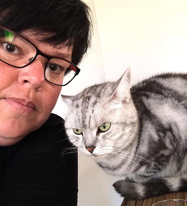 Kater Benny (im Bild, neun Jahre) wohnt mit Kater Couper (ein Jahr) bei Michaela und Mario Schulz in einer Wohnung in Wutöschingen.