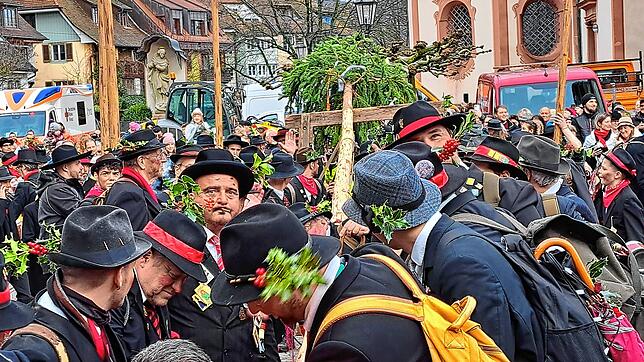 In Bad Säckingen stellen Wälder am Ersten Faißen auf dem Münsterplatz den Narrenbaum. Nach alter Sitte erfolgt dies in reiner Handarbeit.