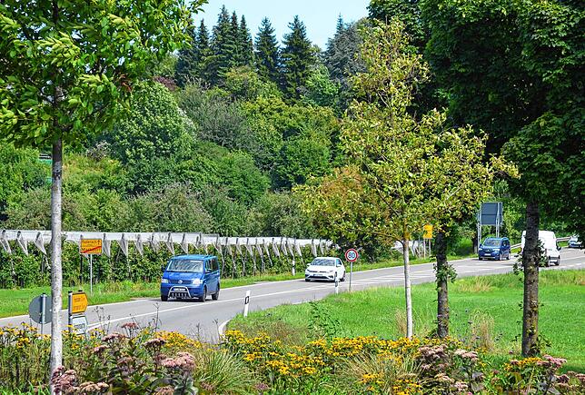 Am Nordrand der Kreisstraße soll ein drei Meter breiter Fahrradstreifen angelegt werden.