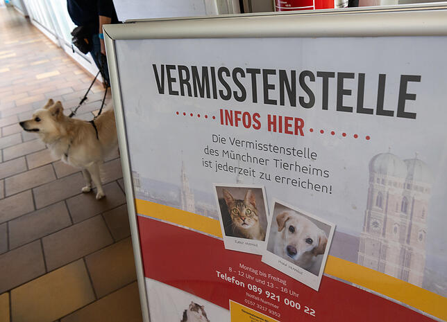 Die Vermisstenstelle des Tierheims München ist die wahrscheinlich einzige ihrer Art in Deutschland.