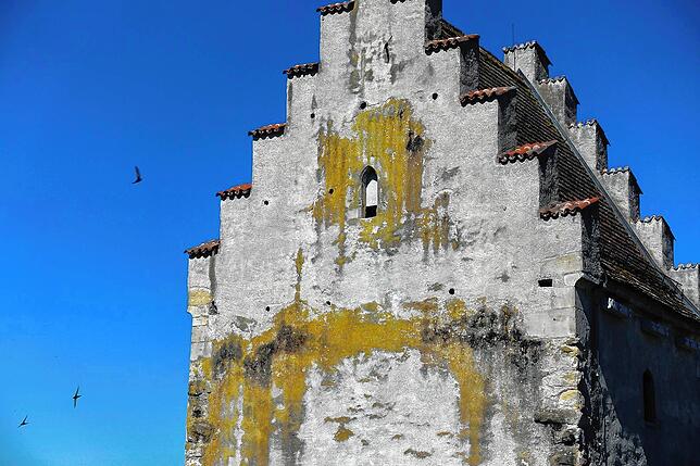Im Hexenturm haben auch Turmfalken ihr Zuhause. Um sie kümmern sich Naturschützer.
