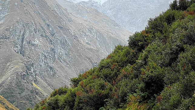 Der Iseltrail führt durch das Hochtal des Nationalparks Hohe Tauern in Richtung des Gletschers Umbalkees, hier im Hintergrund zu sehen.