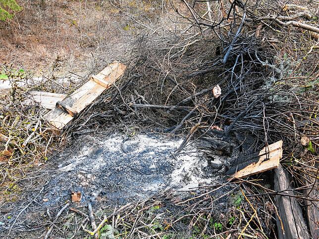 Dillendorf: Versuche, das Feuer zu entfachen, waren nicht von Erfolg gekrönt.