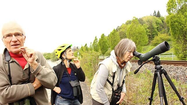 Karl Roth vom BUND, Frauke Menzel und Gabriela Lindner (BUND) bei einer Vogelbeobachtung am Überlinger See. Bild: Sophia Zora Fürst
