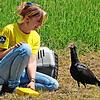 Bereits im Mai 2020 war Zoppo der allererste Rückkehrer am Bodensee gewesen und von Anne-Gabriela Schmalstieg begrüßt worden (Foto). Im ...