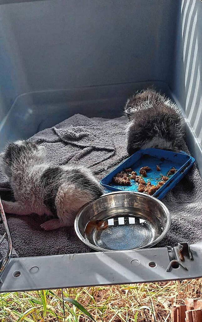 Stella und Tarek nach ihrer Bergung.