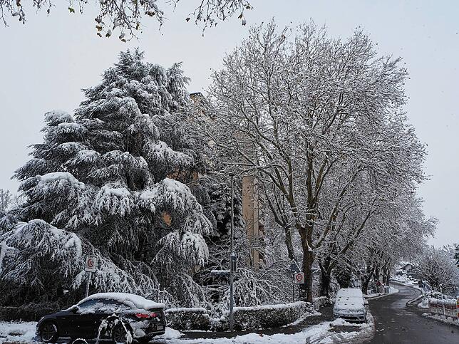 Bild 16: So schön ist der Schnee in Bad Säckingen und auf dem Hotzenwald! Wir haben die Bilder