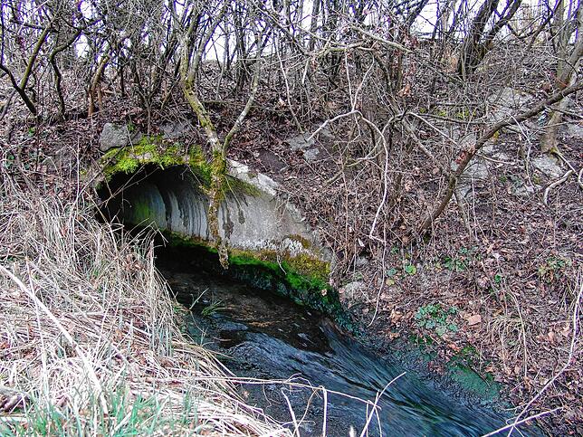 Das gereinigte Wasser fließt in die Salemer Aach. &bdquo;Trinken würd ich&lsquo;s nicht, aber Kaffee damit kochen schon&ldquo;, meint ...