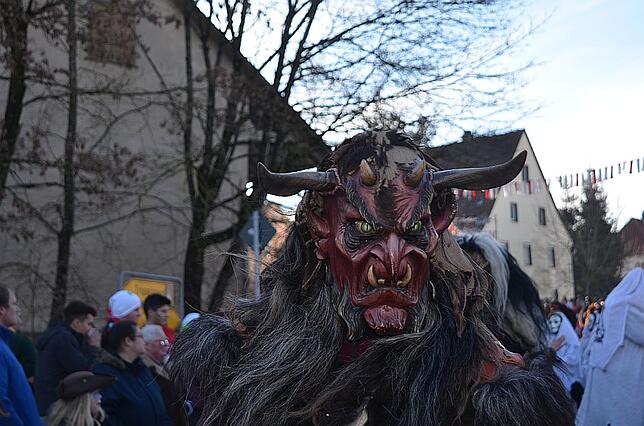 Bild 22: Bilder vom Narrenumzug in Weigheim 2019