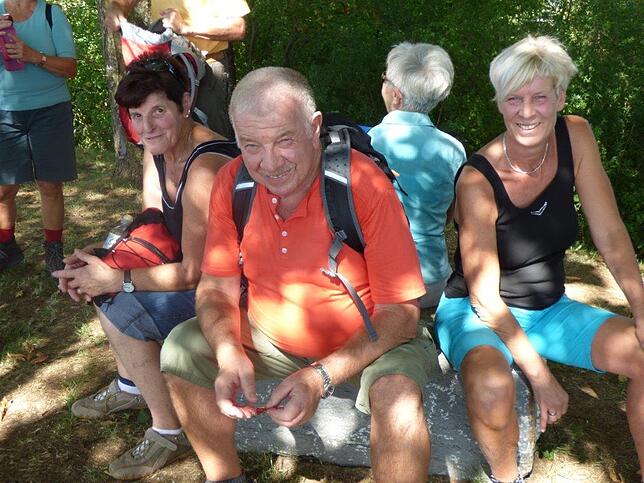 Bild 1: Mit dem SÜDKURIER durch die Apfelplantagen: Bilder der Wanderung