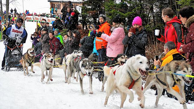 Kann das Schlittenhunderennen in Todt­moos 2021 stattfinden? Grundsätzlich befürwortet der Todtmooser Gemeinderat die Veranstaltung. Im ...