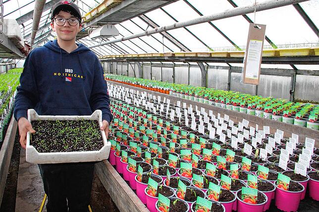 Leonie Hauser ist im dritten Lehrjahr zur Blumen- und Zierpflanzengärtnerin. Sie durchläuft in Weißer&lsquo;s Floraparadies alle ...