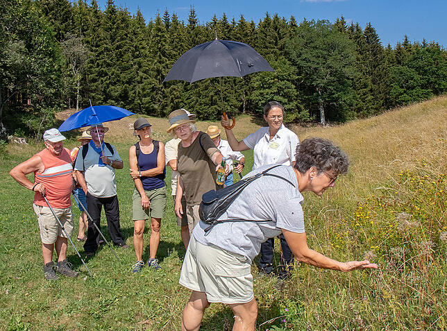 Unterwegs zum Ziegenparadies gibt es für die Teilnehmer der Exkursion links und rechts des Wegs botanische Kostbarkeiten zu entdecken.
