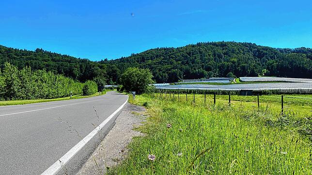 Inzwischen ist nicht mehr erkennbar, dass auf dem Grünstreifen neben der Straße zum Dettelbach wochenlang ein Auto abgestellt war.
