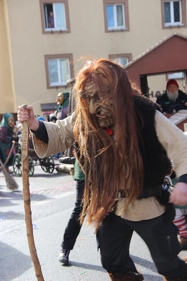 Bild 2: Der Fasnetumzug in Stühlingen in Bildern (2)