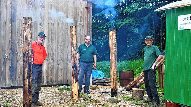 Klaus Cerny (von links) und Uwe Bruggner unterstützen Installationskünstler Johannes Pfeiffer, bei der Suche nach passenden Stämmen für ...