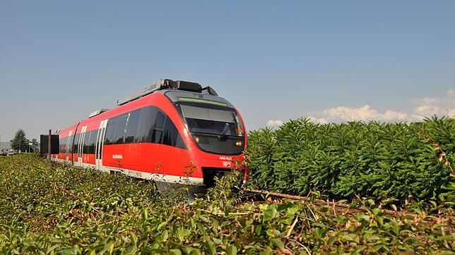 Bild : Elektrifizierung der Hochrhein-Bahn: Verkehrsministerium weist Kritik zurück und kritisiert Bundestagsabgeordnete