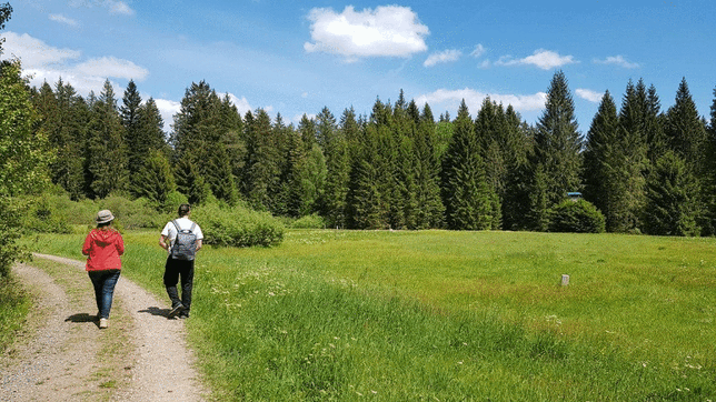 Der Krai Woog Gumpen ist einer der vielen unbekannteren Wasserfälle der Region. Der Schlühüwanapfad bei Grafenhausen bietet mit bunten ...