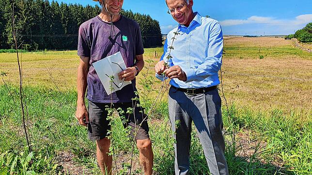 Jetzt gibt es ein neues Projekt für Öko-Hecken, die bei Bad Dürrheim sprießen. Landwirt Christoph Trütken (links) und der ...