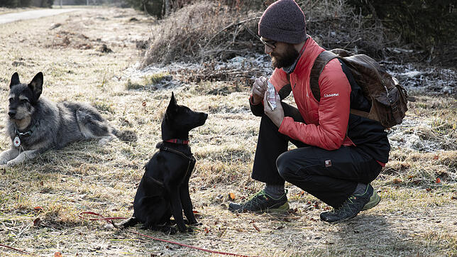 Matthias Mück ist Hundeprofi und arbeitet seit elf Jahren im Hundezentrum Schwarzwald mit den Vierbeinern. Immer an seiner Seite die ...