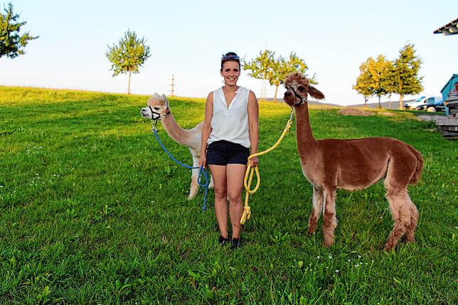 Lisanne Schöndienst mit den beiden Tieren, die bei den Wanderungen dabei sind: die Alpakas Pepper und Julchen. Bevor Alpakas an der ...