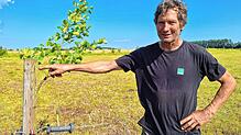 Landwirt Christoph Trütken trennt seine Viehweiden bei Bad Dürrheim durch Baumreihen und Hecken. Das Pflanzen der Stecklinge geht ...