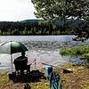 Bild :