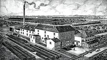 Straub mischt auf dem Markt der Produktverpackungen mit. Die Aufnahme zeigt Holzwollefabrik und Straub Verpackungen um das Jahr 1925.
