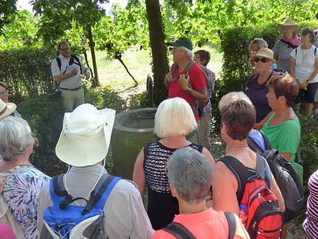 Bild 11: Mit dem SÜDKURIER durch die Apfelplantagen: Bilder der Wanderung